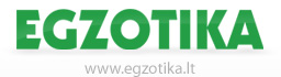 Egzotika